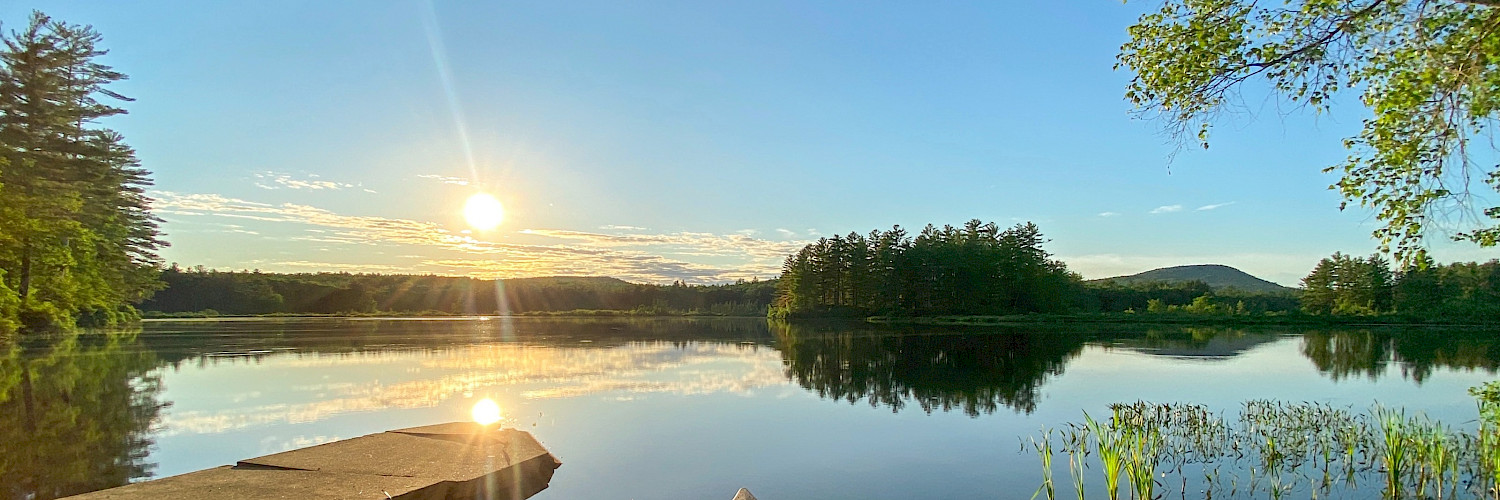 Property Marsh Pond - Spring