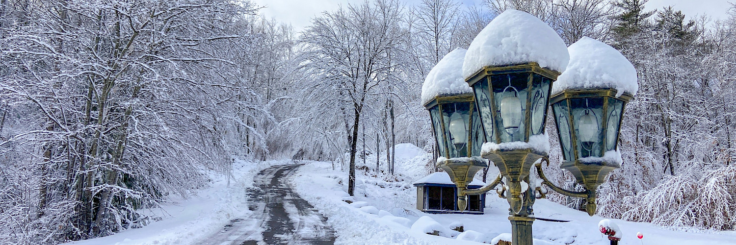 Property lamppost - winter