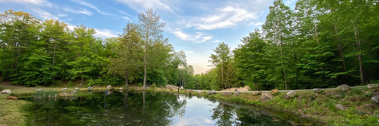 Property midpoint pond - summer