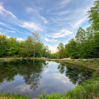 Midpoint pond